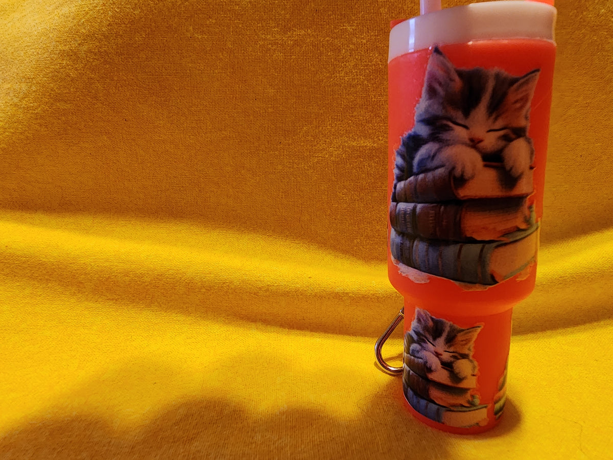 Sleeping kittens on books chapstick holder