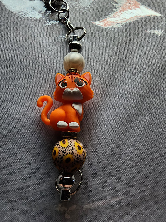 Orange kitty 😺